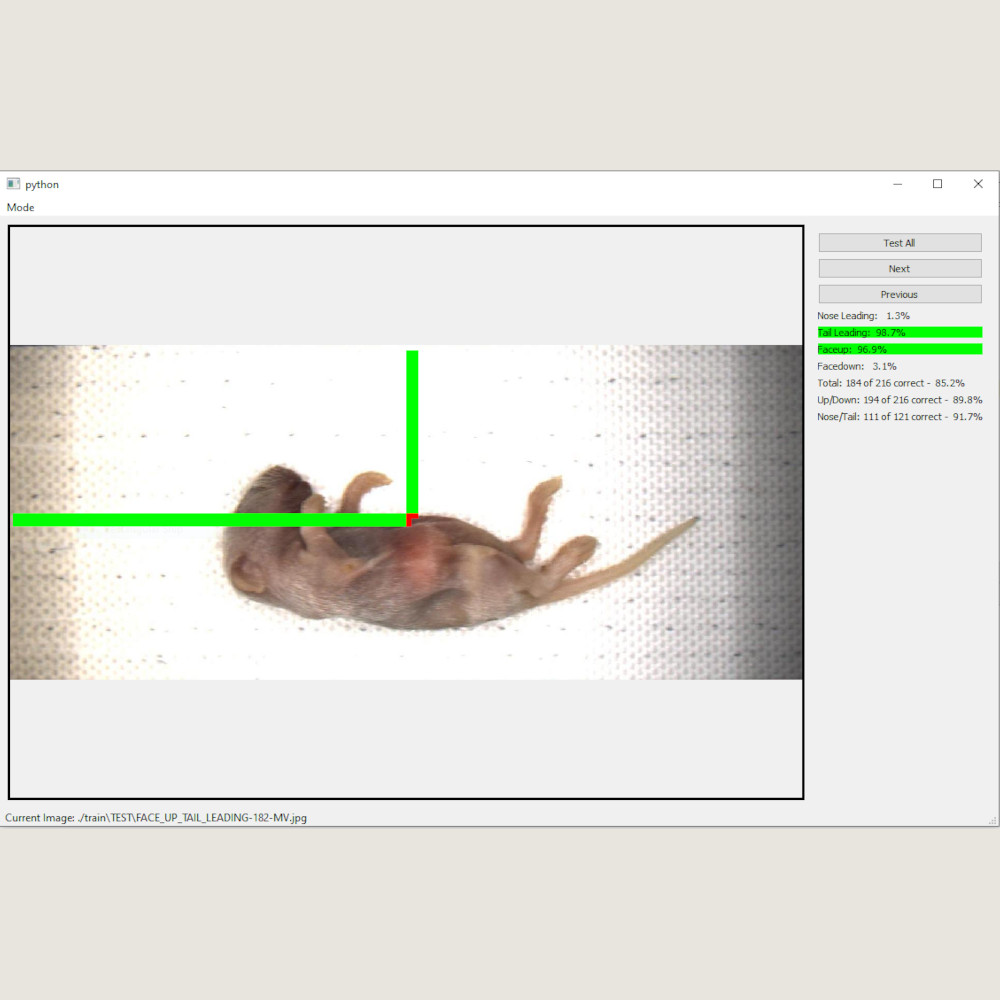 Screenshot of AI Software Detecting Mouse Orientation